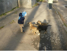 �� ��, �����.JPG