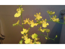 �����  ������ �������� ������2011�