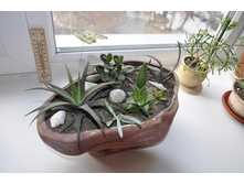 ����������