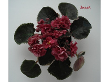 foto23.JPG