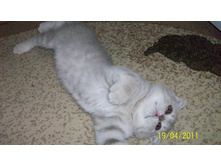 ����������� 108.jpg