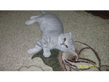 ����������� 111.jpg