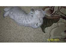 ����������� 113.jpg