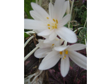 ������������. ���.jpg