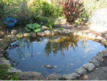 ���ϣ����!