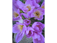 ������������ 2.jpg