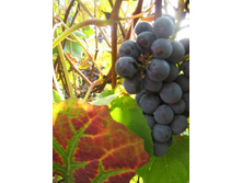 �������� ���� !.jpg