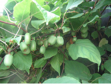 ��������� ���������.jpg