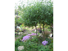 ��� ��������� � �������.jpg