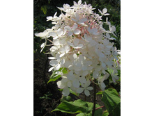 ��������� ����������� �����������!!.jpg