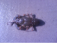 ������� 7. 2009.JPG