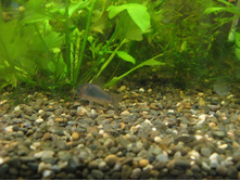 ԣ���� �����.jpg