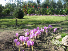 ��� �� �����)))