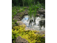 ��������� ����������.jpg