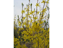 �������� 2.jpg