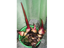 ��������� �����.jpg