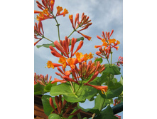 ��������� ��������� �����.jpg