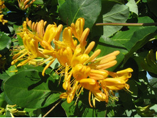 ��������� ������