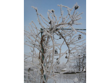 ��������� ��������� �����.jpg