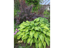 ����� � ��������.jpg