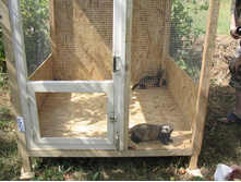 �������� �������