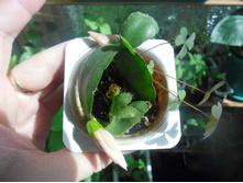 �������������