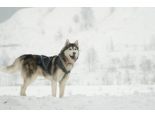 IMGP0007-3 �����.jpg