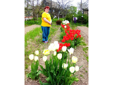 ����� � ������� ��������