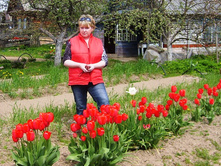 ������� ��������