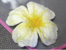 �� � ���������� ���������.jpg