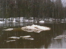 ���������� �������