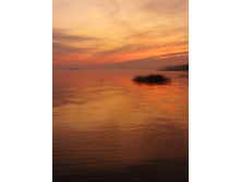 ����� � �����������.jpg