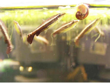 �������������