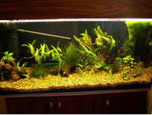 200 ������