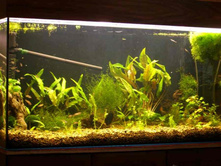 ����� ���, 200�