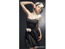 ����� CD-601.JPG