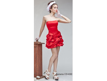 ������ CD - 630.JPG