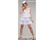 ���� CD-623.JPG