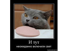 x-127985c2.jpg