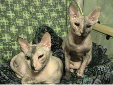 ����������� 030.jpg