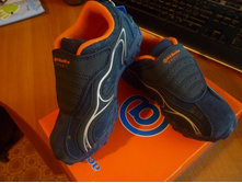 ����� ��*������ 25 ���� 493�