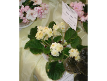 DSC04755.JPG