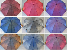 151 ��� ������ � ���������