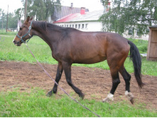 ����������� 226.jpg