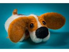 ����� ����� - �������!