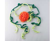 ������� - �������