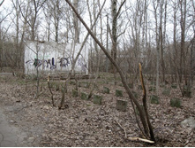 ����� ������� ������