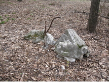 ������� ����������