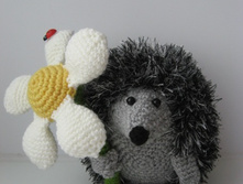 ���� ���.jpg