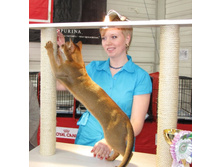 IMG_0688 - �����.JPG